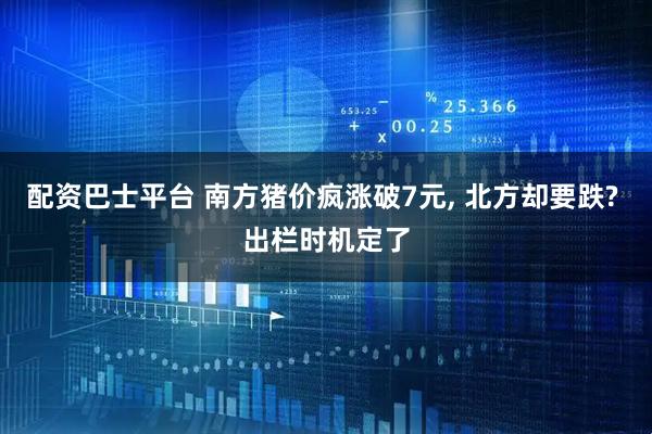 配资巴士平台 南方猪价疯涨破7元, 北方却要跌? 出栏时机定了