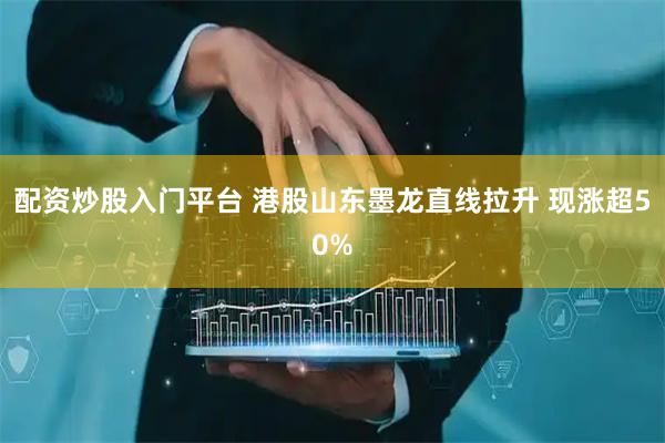 配资炒股入门平台 港股山东墨龙直线拉升 现涨超50%