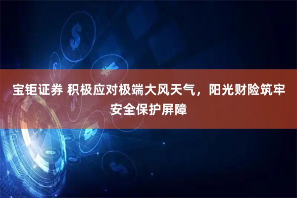 宝钜证券 积极应对极端大风天气，阳光财险筑牢安全保护屏障