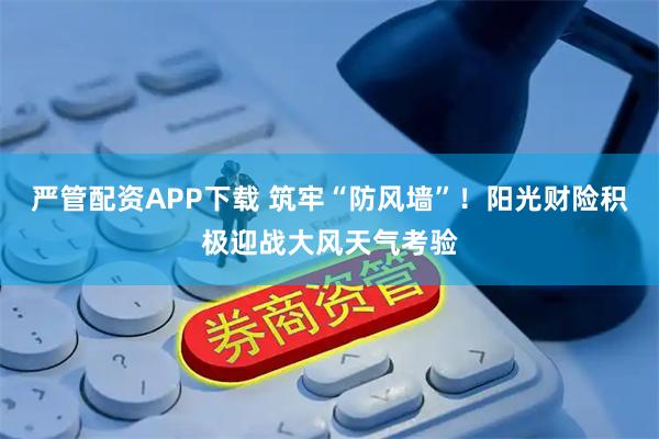 严管配资APP下载 筑牢“防风墙”！阳光财险积极迎战大风天气考验