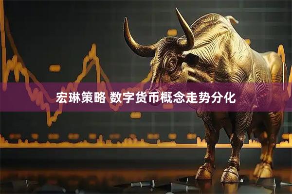 宏琳策略 数字货币概念走势分化
