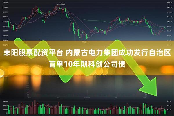 耒阳股票配资平台 内蒙古电力集团成功发行自治区首单10年期科创公司债
